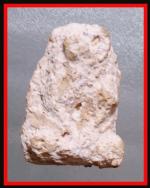 ปิดตาหัวบานเย็นหลวงปู่เอี่ยมวััดหนัง(336)